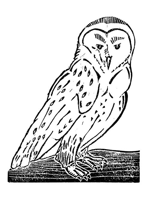 image of a linocut print of a barn owl